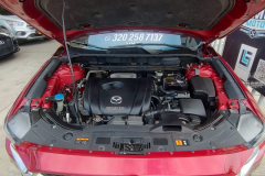 WhatsApp-Image-2023-08-02-at-10.45.35-2